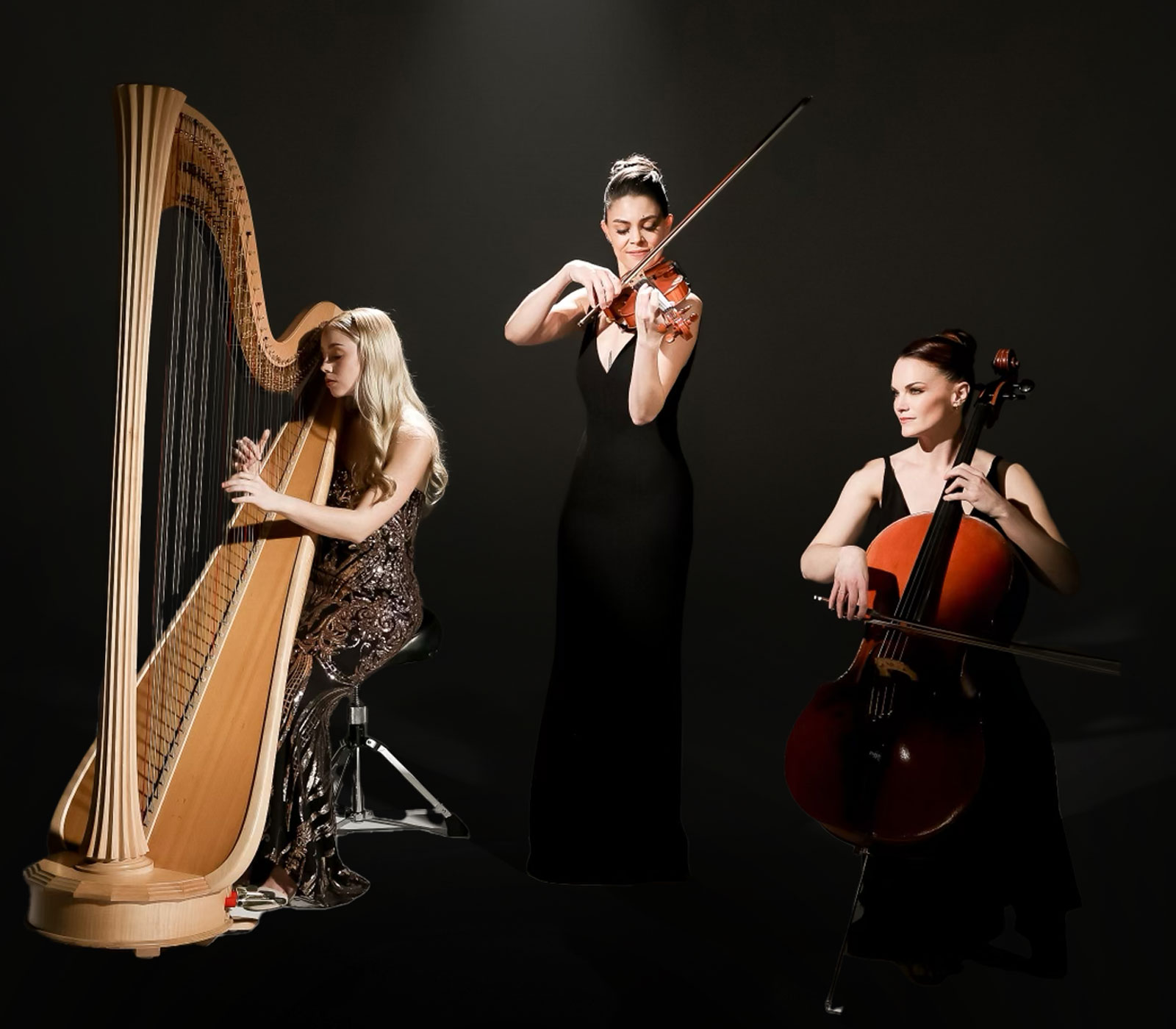 Violin, Cello & Harp